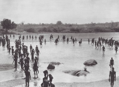 Afrika: Morus bouwt een brug bij Amadi door Hugo Adolf Bernatzik