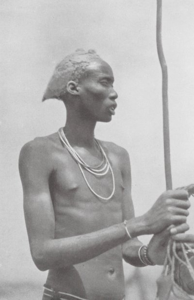Dinka-neger door Hugo Adolf Bernatzik