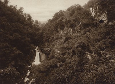 Mexico: Atoyac, Salto de agua (z/w foto) door Hugo Brehme