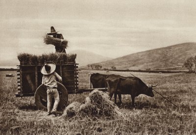 Mexico: Boeren oogsten tarwe (z/w foto) door Hugo Brehme