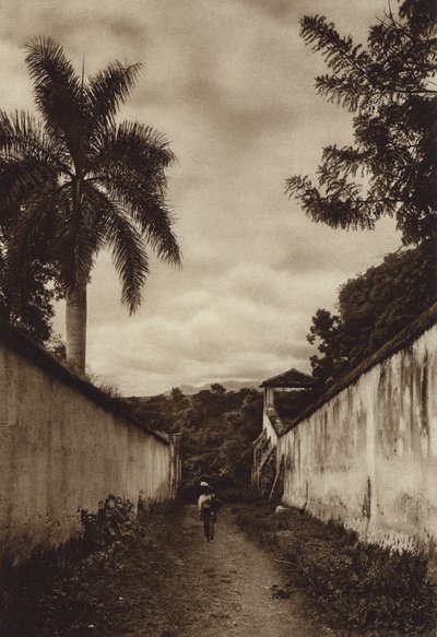 Mexico: Cuernavaca, straat naar het dorp San Antonio (zwart-wit foto) door Hugo Brehme