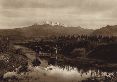 Mexico: Iztaccihuatl (z/w foto) door Hugo Brehme