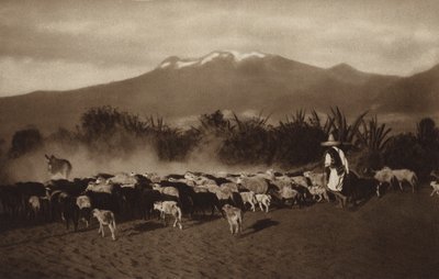 Mexico: De omgeving van Amecameca (z/w foto) door Hugo Brehme