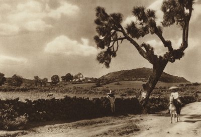 Mexico: Patzcuaro, El Calvario, staat Michoacan (zwart-wit foto) door Hugo Brehme