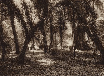Mexico: Idyllische plek in het park van Chapultepec (z/w foto) door Hugo Brehme