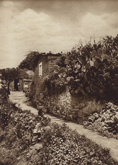 Mexico: Pittoreske hoek in San Angel D F (z/w foto) door Hugo Brehme
