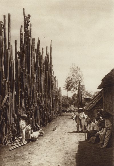 Mexico: Santiago, karakteristieke dorpsstraat met cactussen in de vorm van zuilen (z/w foto) door Hugo Brehme