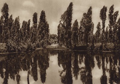 Mexico: Xochimilco met de zogenaamde "Drijvende Tuinen" (z/w foto) door Hugo Brehme