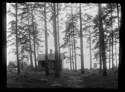 Sauna in Selkäranta door Hugo Simberg