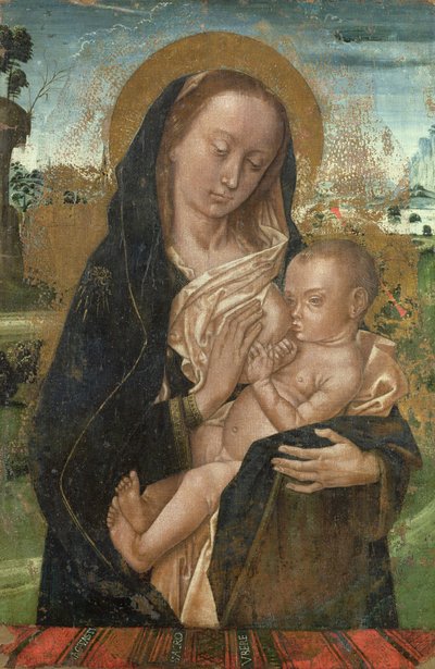 De Maagd Maria kalmeert het kindje Jezus door Hugo van der studio of Goes