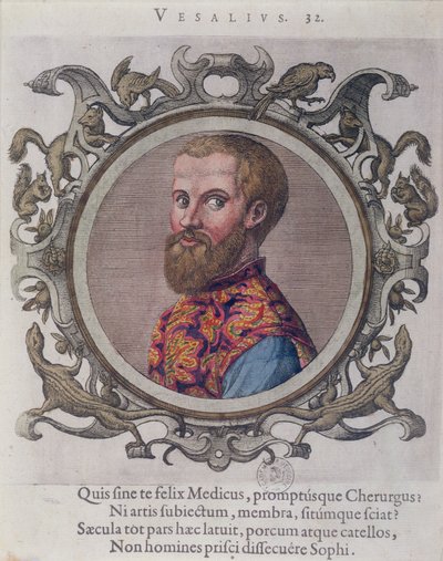 Portret van Andreas Vesalius (1514-64) uit Receuil des Portraits de Medecins door de Hongaarse arts, Sambucus, 1574 door Hungarian School