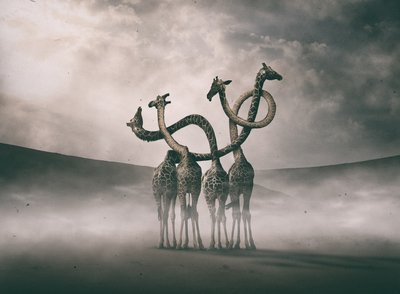  door Hussain Buhligaha