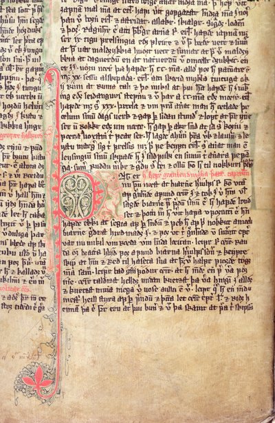 Geïllustreerde initiaal P aan het begin van De Saga van de Groenlanders, uit Flateyjarbok (Het Boek van Flatey) eind 14e eeuw door Icelandic School