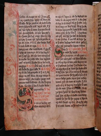 Geïllustreerde initialen 
