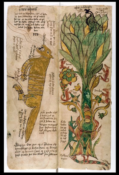 De Wolf Fenrir en de Wereldboom Yggdrasil, 1680 door Icelandic School