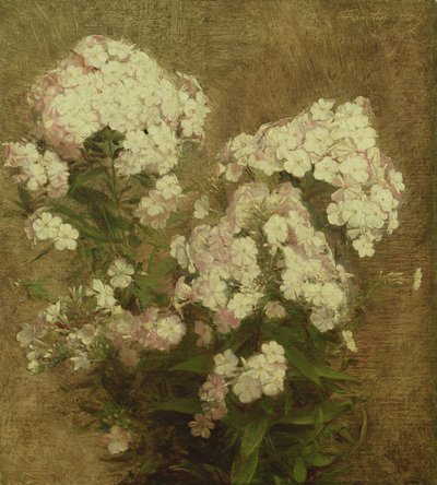 Phlox, 1870 door Ignace Henri Jean Fantin Latour