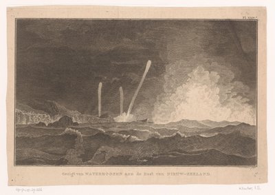 Gezicht op waterhozen aan de kust van Nieuw-Zeeland door Ignaz Sebastian Klauber