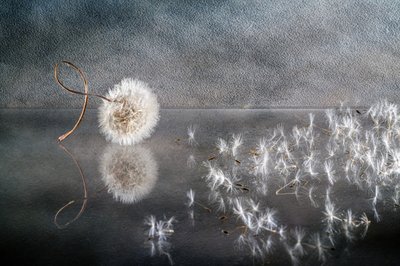  door Igor Kopcev