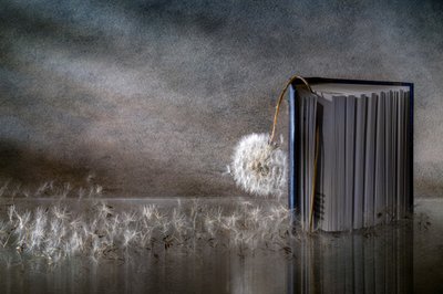  door Igor Kopcev