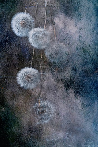  door Igor Kopcev
