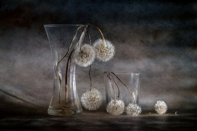  door Igor Kopcev