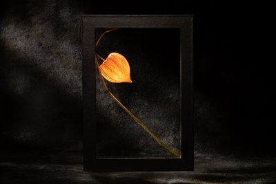  door Igor Kopcev