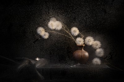  door Igor Kopcev