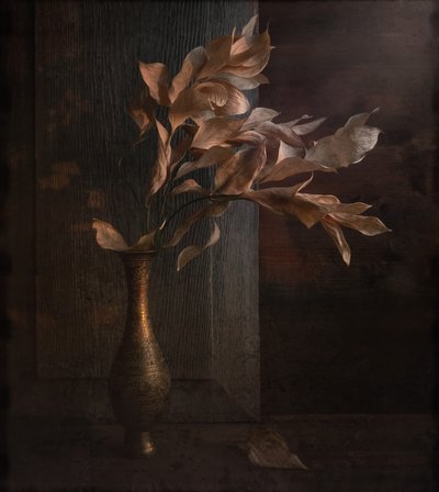  door Igor Tokarev