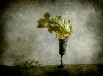  door Igor Tokarev
