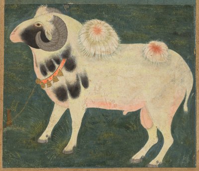 Een koninklijke ram met een gouden ketting, c. 1585 door Indian School