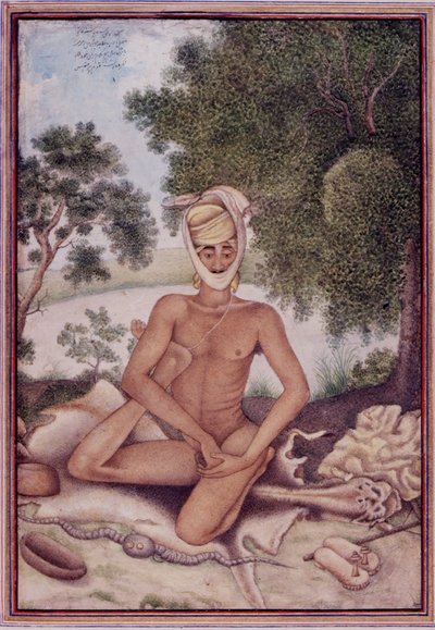 Add 27255 fol.370v Een naakte asceet, uit 