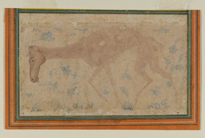 Een Uitgemergeld Paard, uit Mughal of Deccan door Indian School