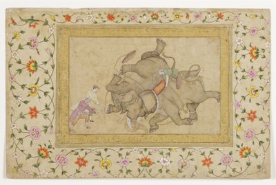 Een olifantengevecht, met florale arabeskenrand, c.1610 door Indian School