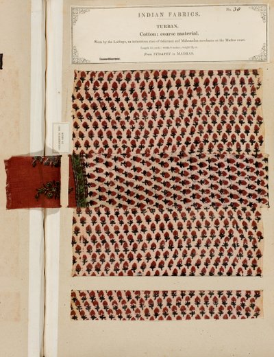 Grof katoenen tulbandmonster uit Sydapet in Madras, uit The Collection of the Textile Manufacturers of India, door John Forbes Watson, gepubliceerd in 1866 door Indian School