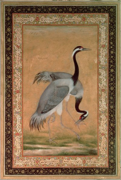 Kraanvogels door Mansur, Jahangir Periode, Mughal door Indian School