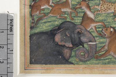 (detail) De jakhals die zichzelf koning uitriep, c.1560-65 door Indian School