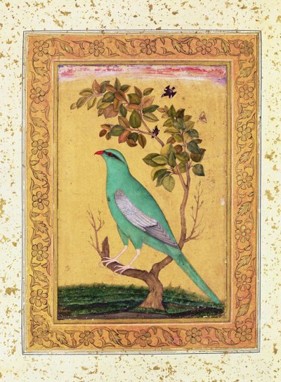 Groene Vogel, Mughal door Indian School