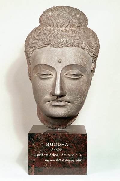 Hoofd van een Boeddhabeeld, uit Gandhara, noordwest India (grijze leisteen) door Indian School