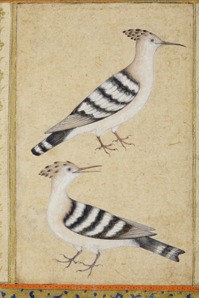 Hoppen, c.1590 door Indian School