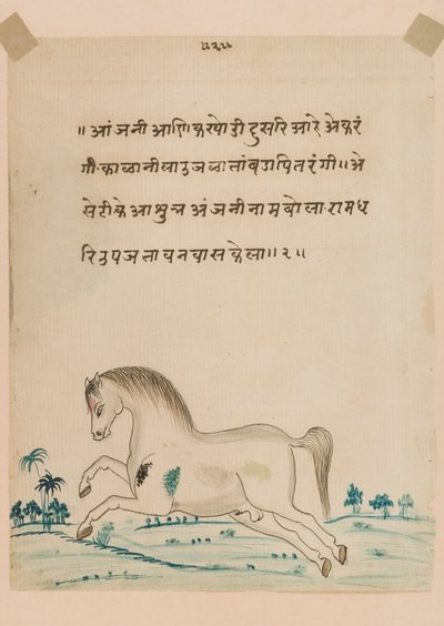 Paard door Indian School