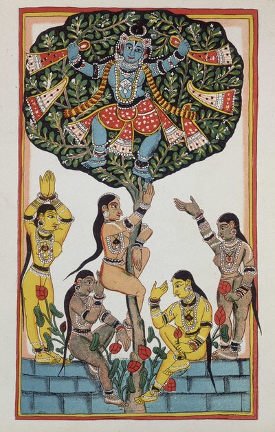 Krishna en 5 godinnen door Indian School