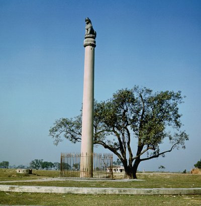 Leeuwenpilaar van keizer Ashoka, ca.264-223 v.Chr. door Indian School