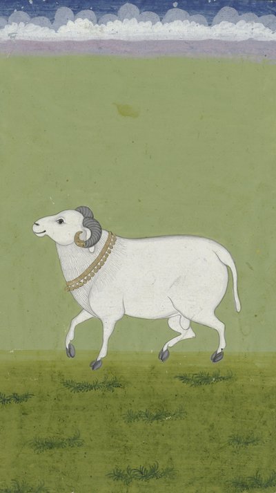 Ram met gouden halsband, 1700-1799 door Indian School