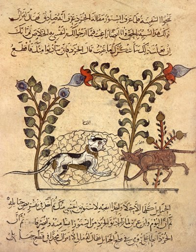 De kat en de rat, Arabische miniatuur uit 