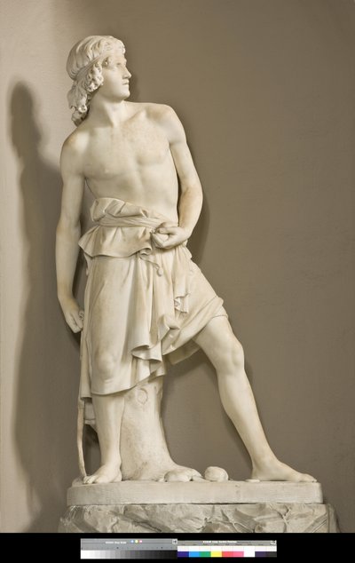 David met de slinger, 1858 door Innocenzo Fraccaroli