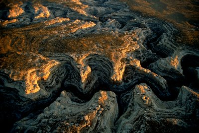 Luchtfoto van een uitgedroogde Utah mesa - Grand Gulch leverde water aan vele kleine... door Ira Block