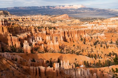 Hoodoos - torenspitsen gecreëerd door erosie - in Bryce Canyon National Park in Utah, 2019 door Ira Block