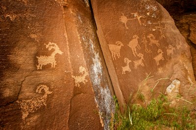 Panelen van schapen nabij de Sandhill Crane-petroglyfsite in Nine Mile Canyon. door Ira Block