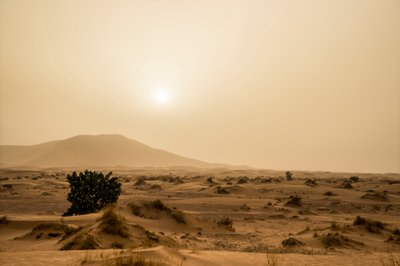 Zandduinen in de Erg Chebbi woestijn in het zuidoosten van Marokko door Ira Block