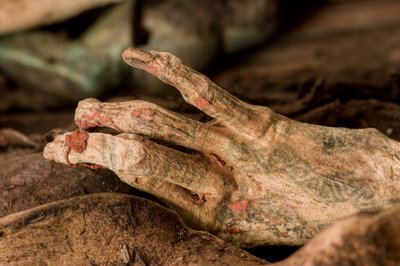 Het lichaam van de mummie onthuld met goed bewaarde huid en tatoeages op de handen en armen. Er werd vastgesteld dat de mummie op dit punt vrouwelijk was, zeer ongebruikelijk vanwege de eerdere 